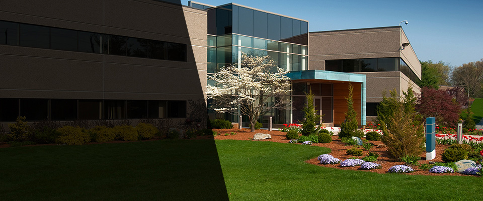 Ansonia Landscapers