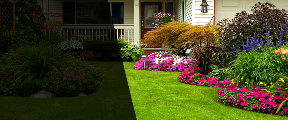 Ansonia Landscapers