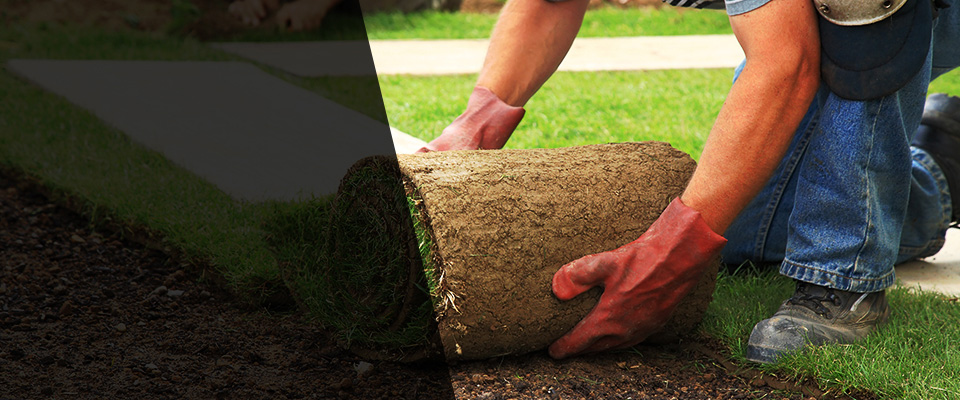 Ansonia Landscapers